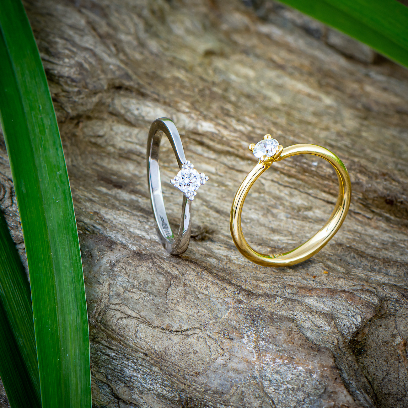 Verlobungsringe in Platin und Gold mit Diamant